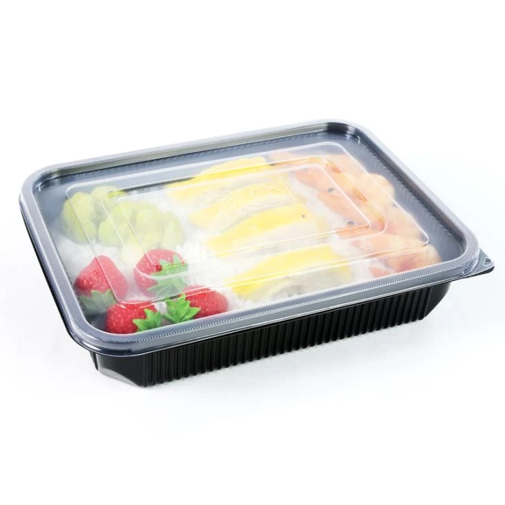 Venda a l'engròs d'envasos d'aliments de plàstic Caixa d'un sol ús Takeway