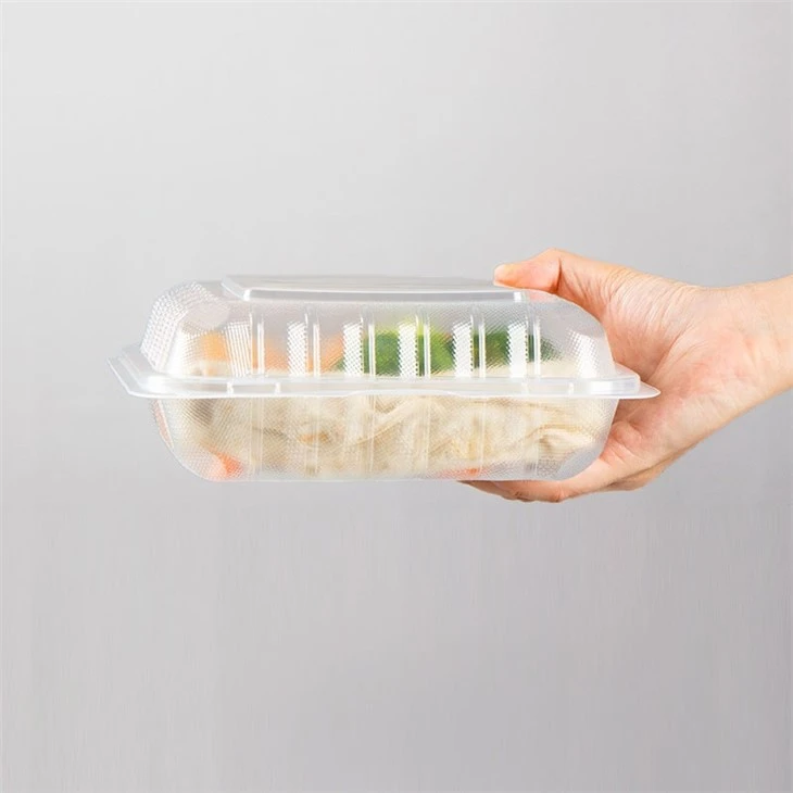 Clear Plastic Food Container