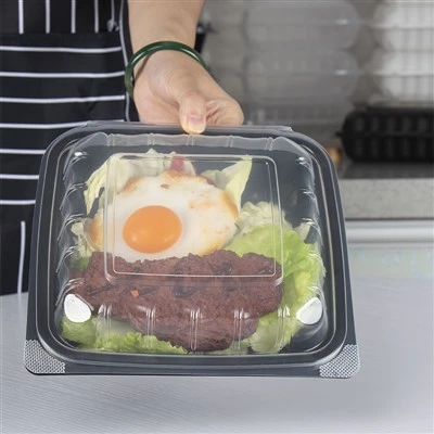Emmagatzematge d'aliments en contenidors delicatssen