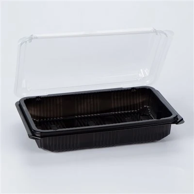 Contenidor rectangular d'emmagatzematge d'aliments