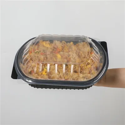 Plastic Togo Containers