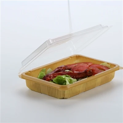 Presentació de les diferències de bento a - Els processos i costos d'impressi...
